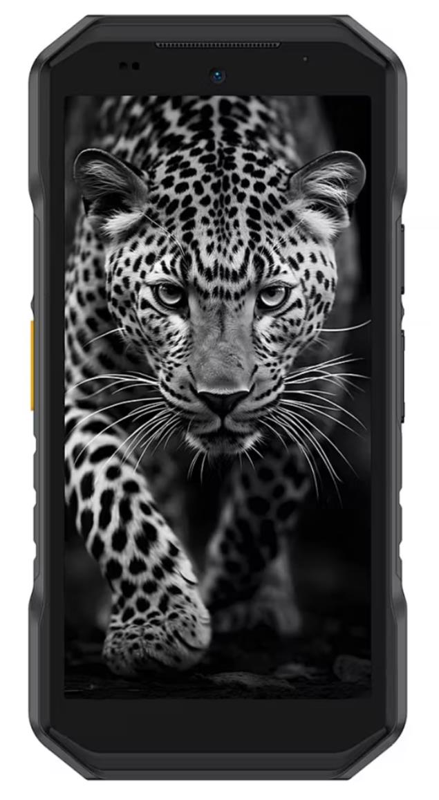 ebb6fc65881a76e6a66bcf8ffc661a54